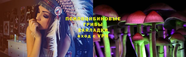 эйфоретик Белокуриха