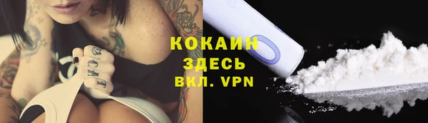 эйфоретик Белокуриха