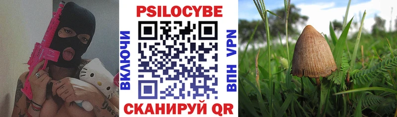 Псилоцибиновые грибы мухоморы  Юрьевец 